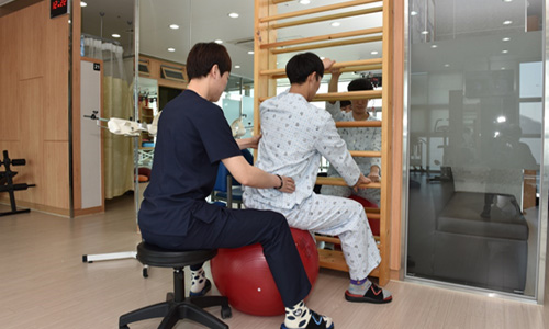 슈로스 운동(운동)